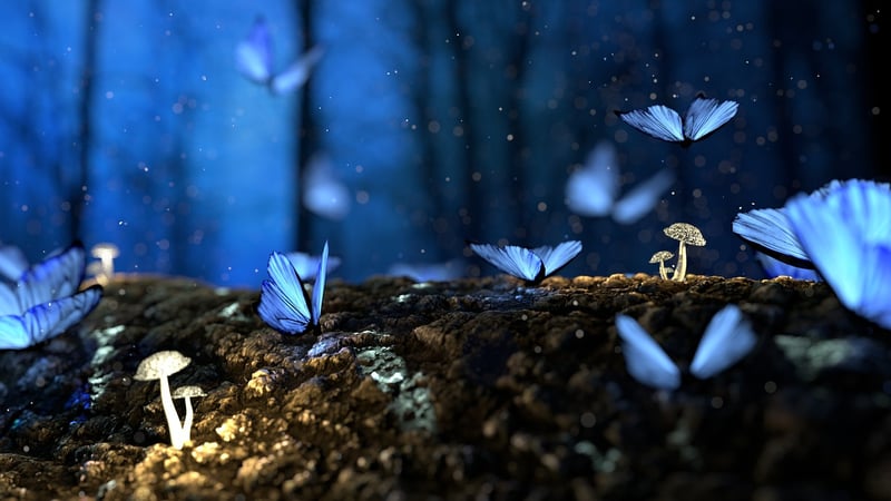Enchanted Forest Suits